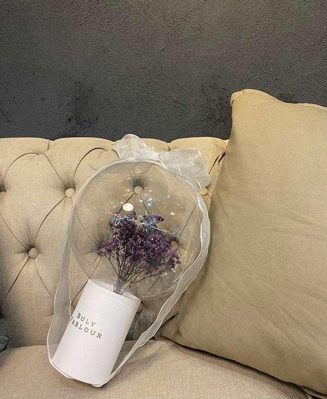 Gypsophila ジプソフィラ