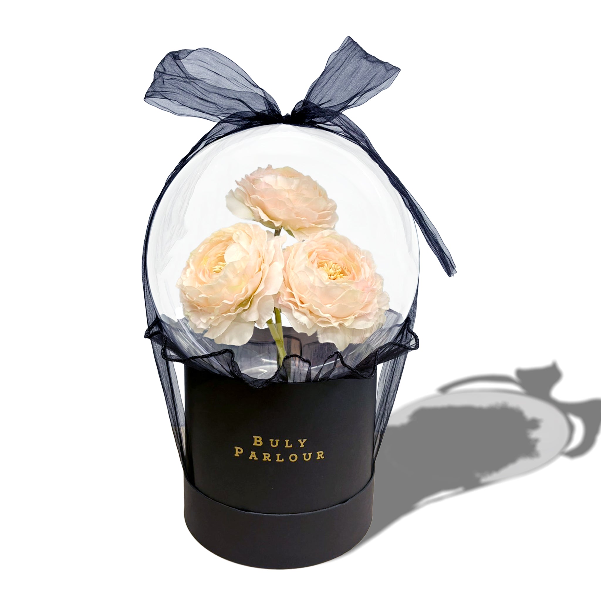 RANUNCULUS BLOOMED 【花金鳳花】
