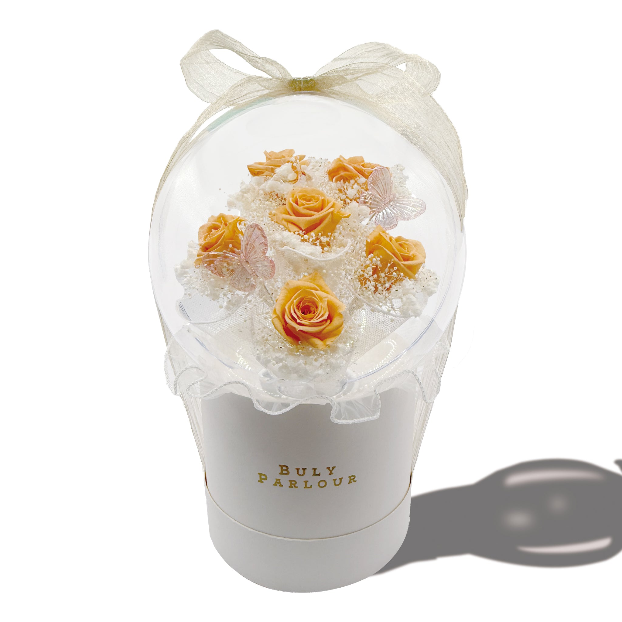 Catherine - キャサリン