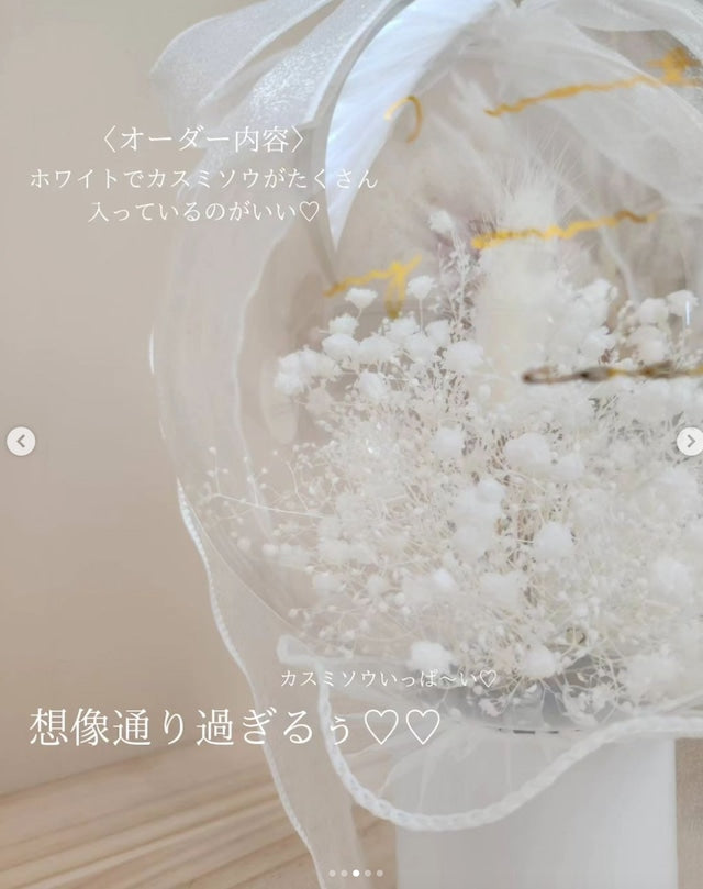 Gypsophila ジプソフィラ