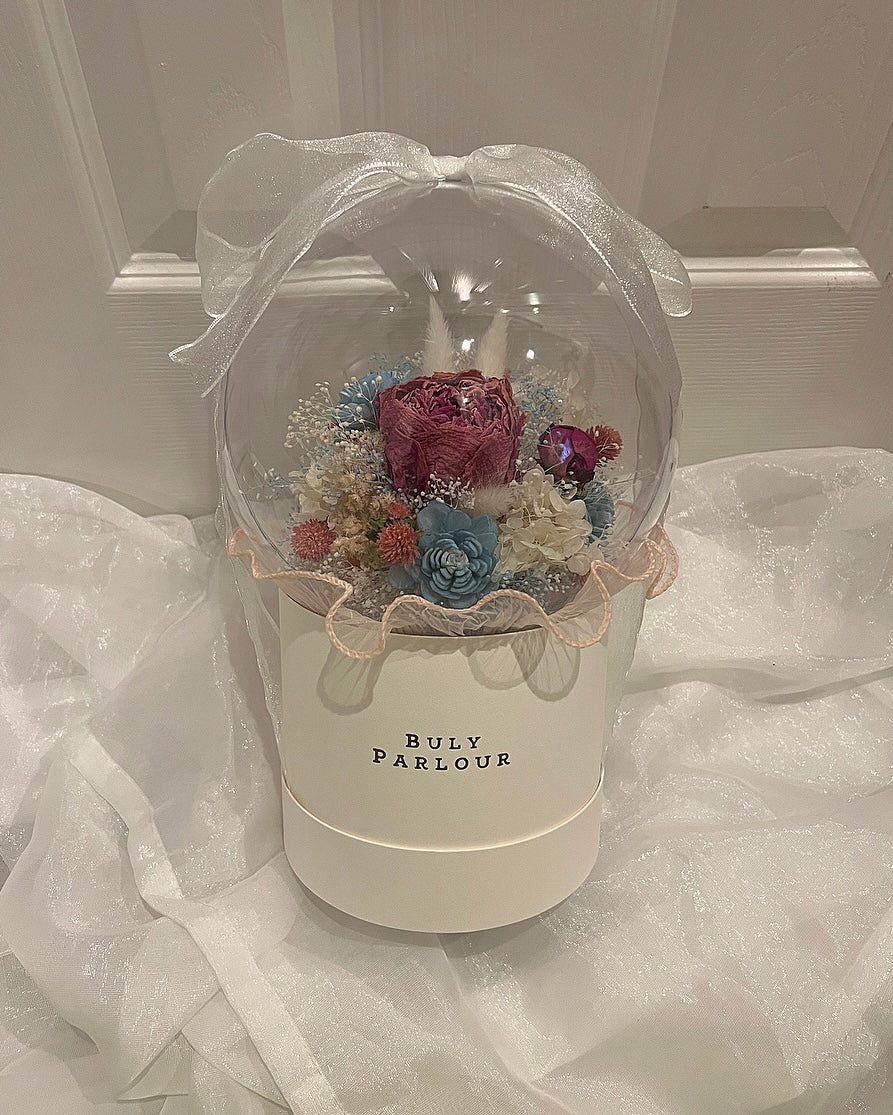 Charlotte シャーロット