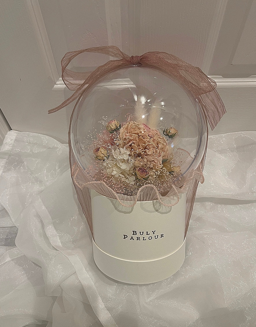 Charlotte シャーロット