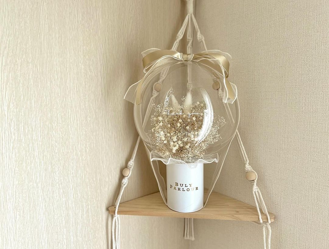 Gypsophila ジプソフィラ