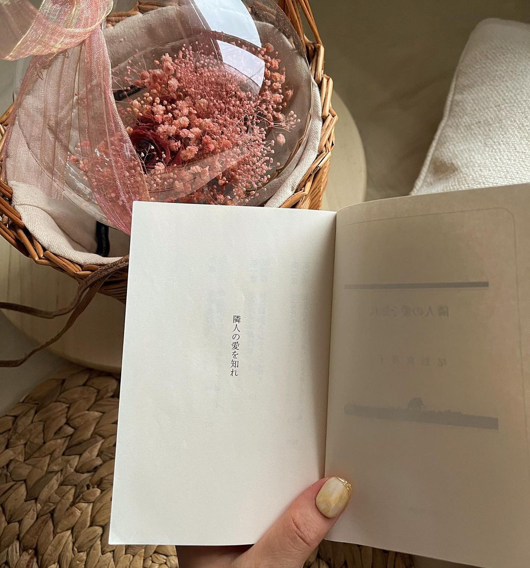 JAMIE ジェイミー